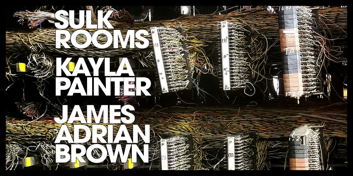 Sulk Rooms / Kayla Painter / James Adrian Brown, 28 November | Event in Dublin | AllEvents
