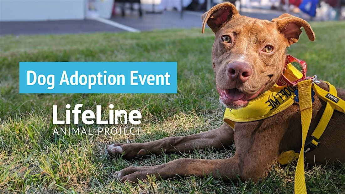Petco Edgewood Dog Adoption Event, 7 June | Event in Atlanta | AllEvents