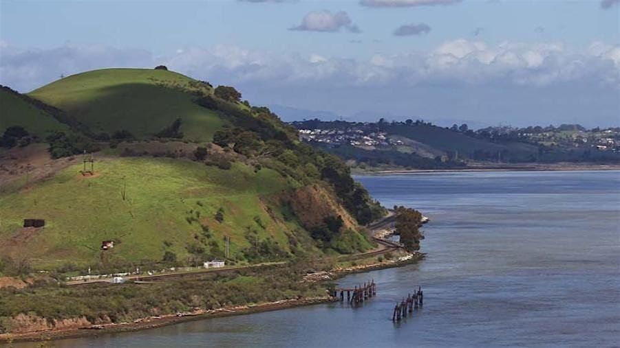 Miller Trail Seed Collection Hike with CREEC, 7 December | Event in Port Costa | AllEvents