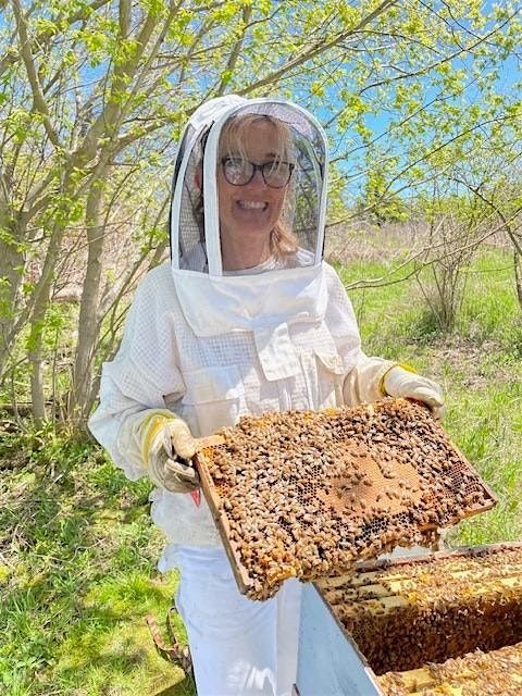 Adventure into the Hive, 11 August | Event in Whitby | AllEvents