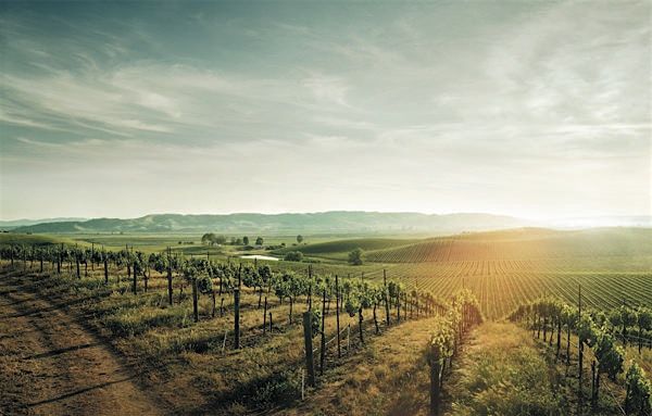 CAPSTONE California: Revisiting Classic Regions - Calgary, 27 October | Event in Calgary | AllEvents
