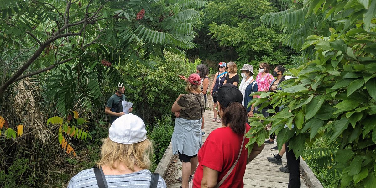 Events In Toronto In August 2021 Toronto Events August 2022