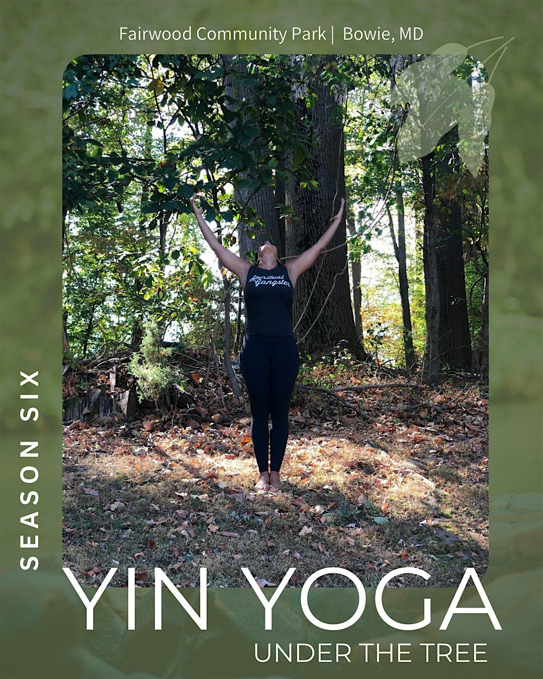 Yoga Under the Tree - Season 6:E3, 24 August | Event in Bowie | AllEvents