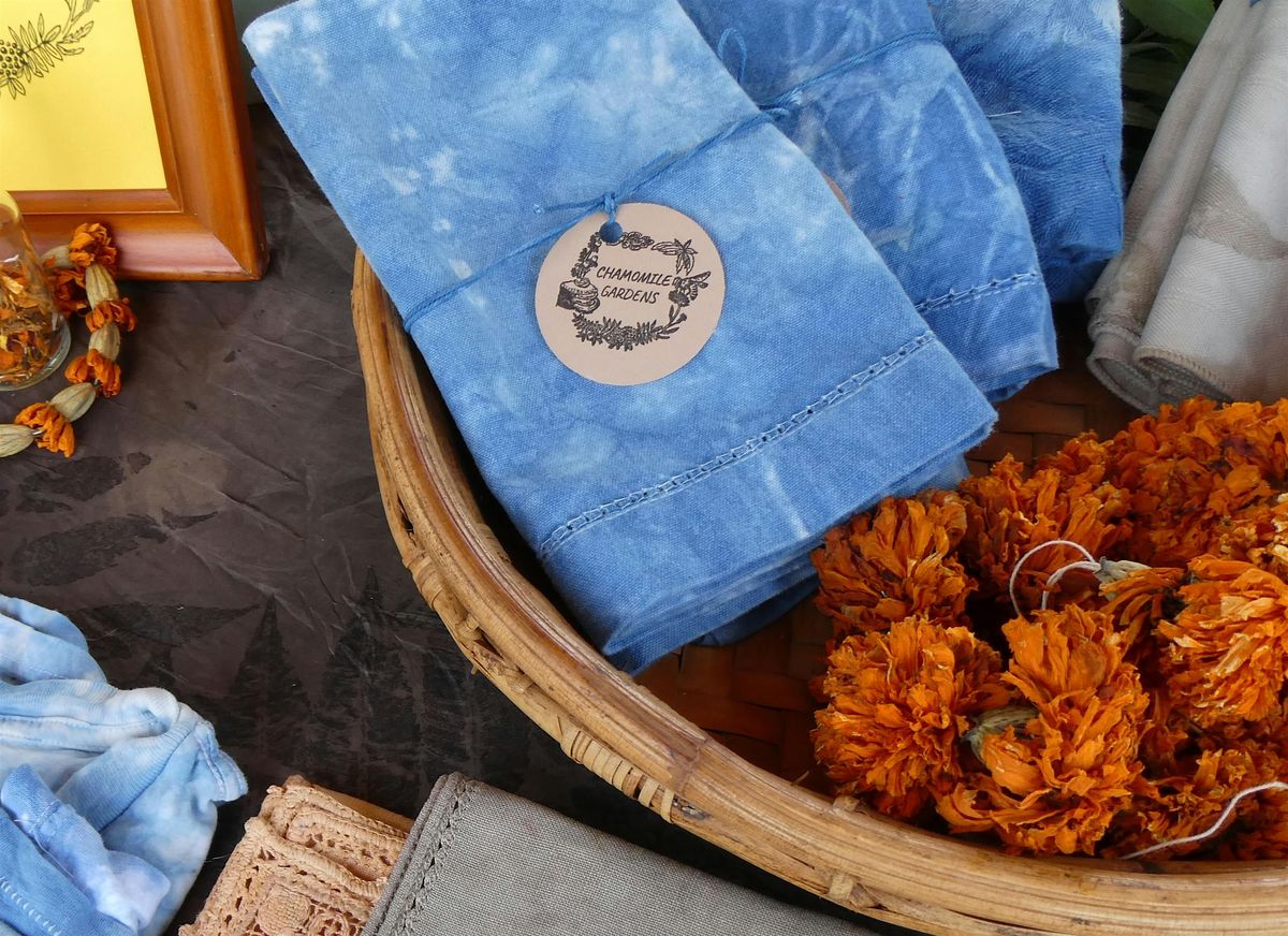 Mindful Mornings: Dye and Grow with Indigo | Event in Detroit | AllEvents