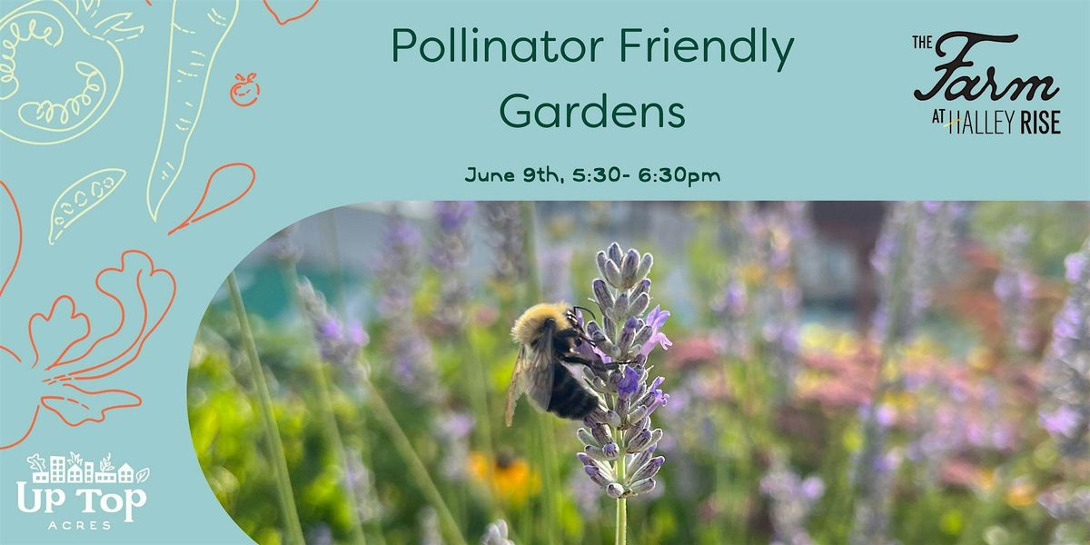 Pollinator Friendly Gardens, 9 June | Event in Reston | AllEvents