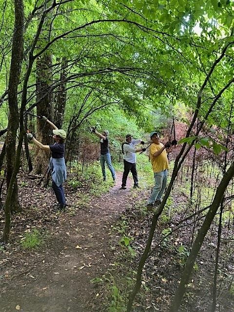 Reforestation Preparation at the Confluence Natural Area, 18 September | Event in Hillsborough | AllEvents