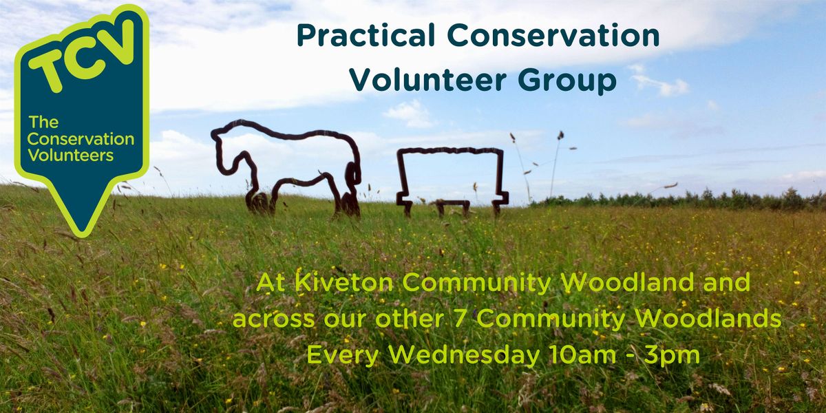 Practical Conservation Volunteer Group at Kiveton Community Woodland, 22 October | Event in Sheffield | AllEvents