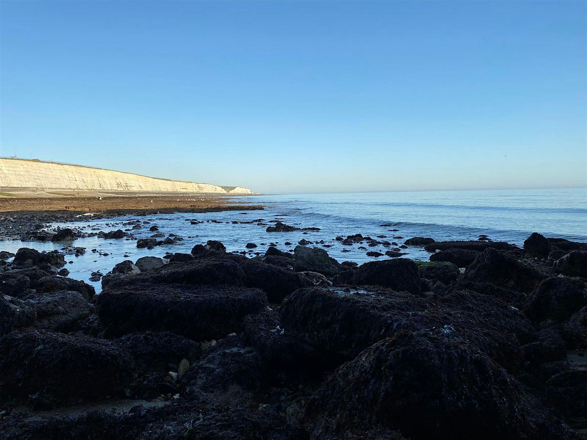 Coastal Foraging Workshop - Brighton - Sea Vegetables and Sea W**d., 11 October | Event in Brighton | AllEvents