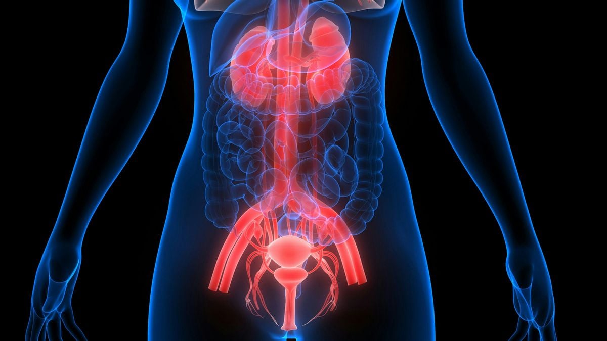 Bladder Oncology Study Day, 4 December | Event in Manchester | AllEvents