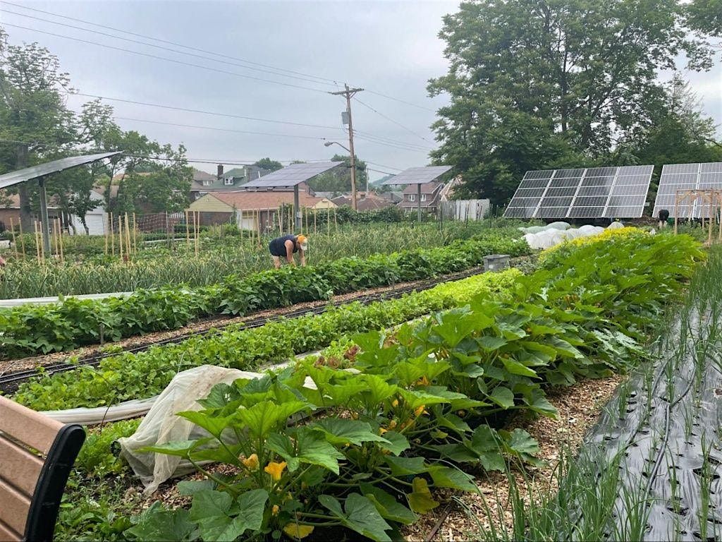 Monthly Volunteer Project at Shiloh Farm, 12 July | Event in Pittsburgh | AllEvents