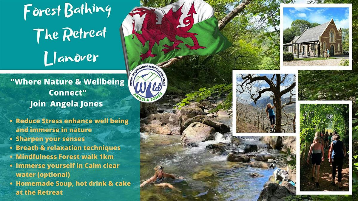 Forest Bathing, 24 February | Event in Retreat | AllEvents