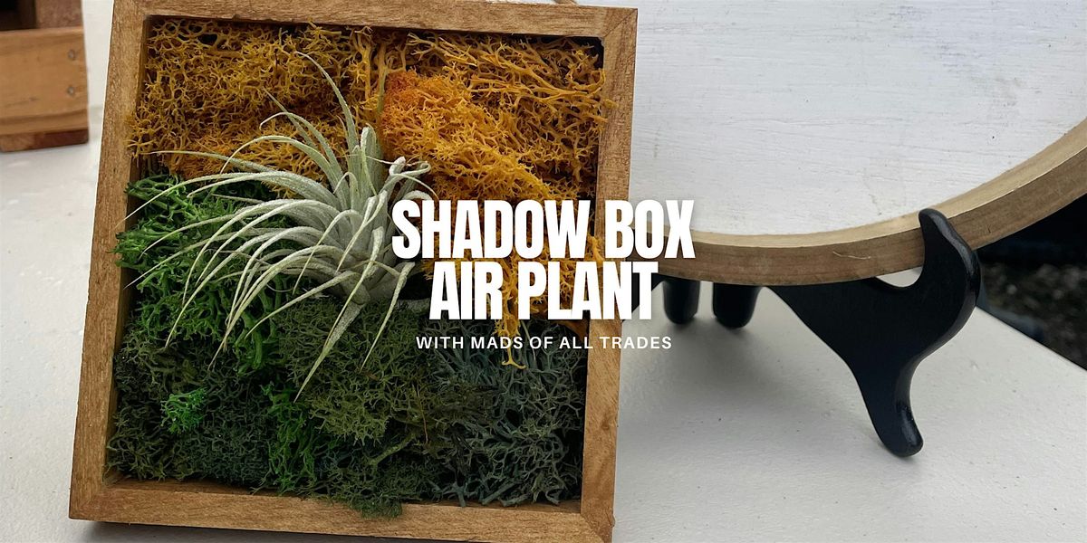 Shadow Box Air Plant Workshop, 16 August | Event in Silver Spring | AllEvents