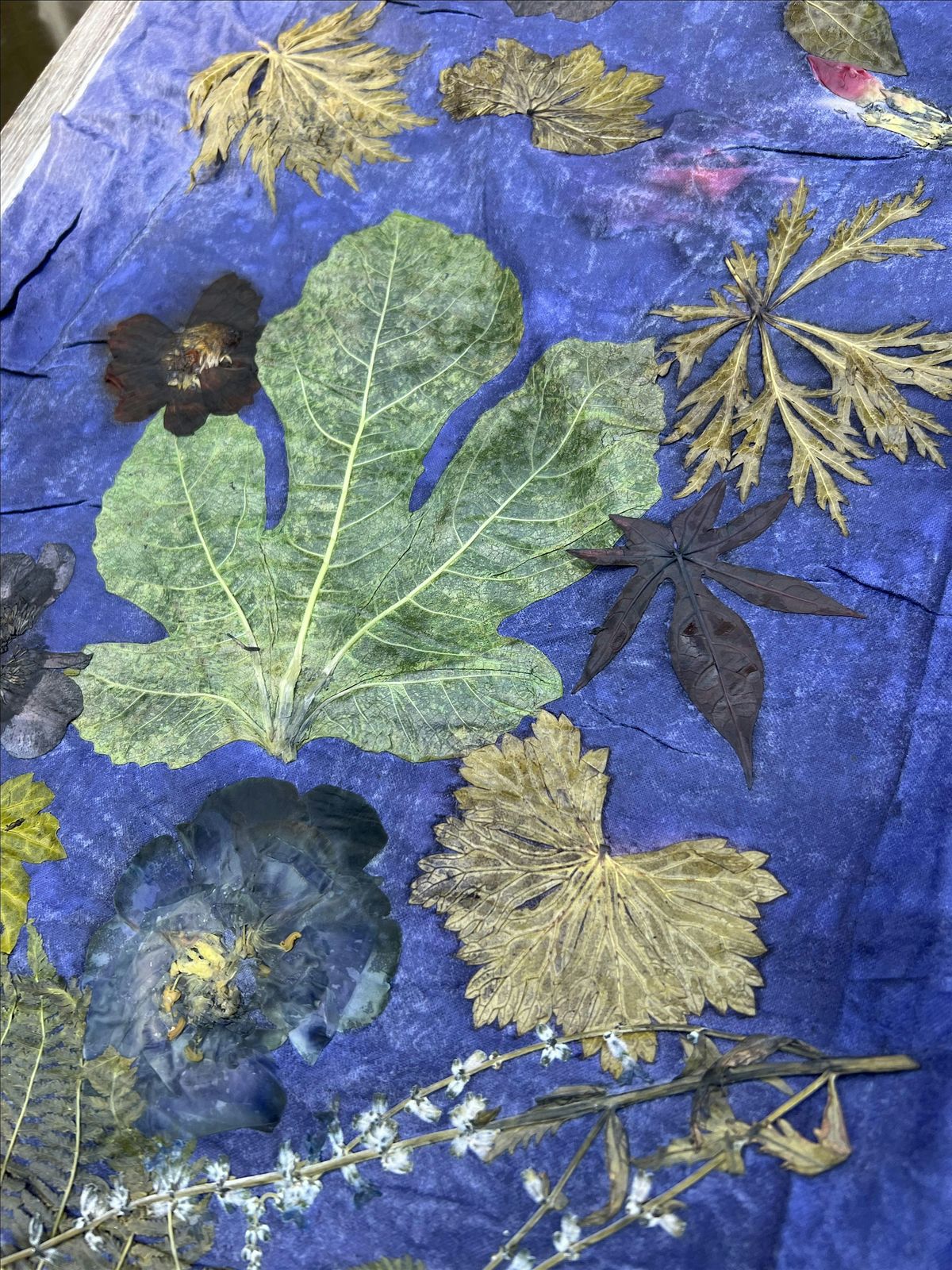 The Art of Botanical EcoPrinting with Sofia Seldon, 15 August | Event in Lee | AllEvents