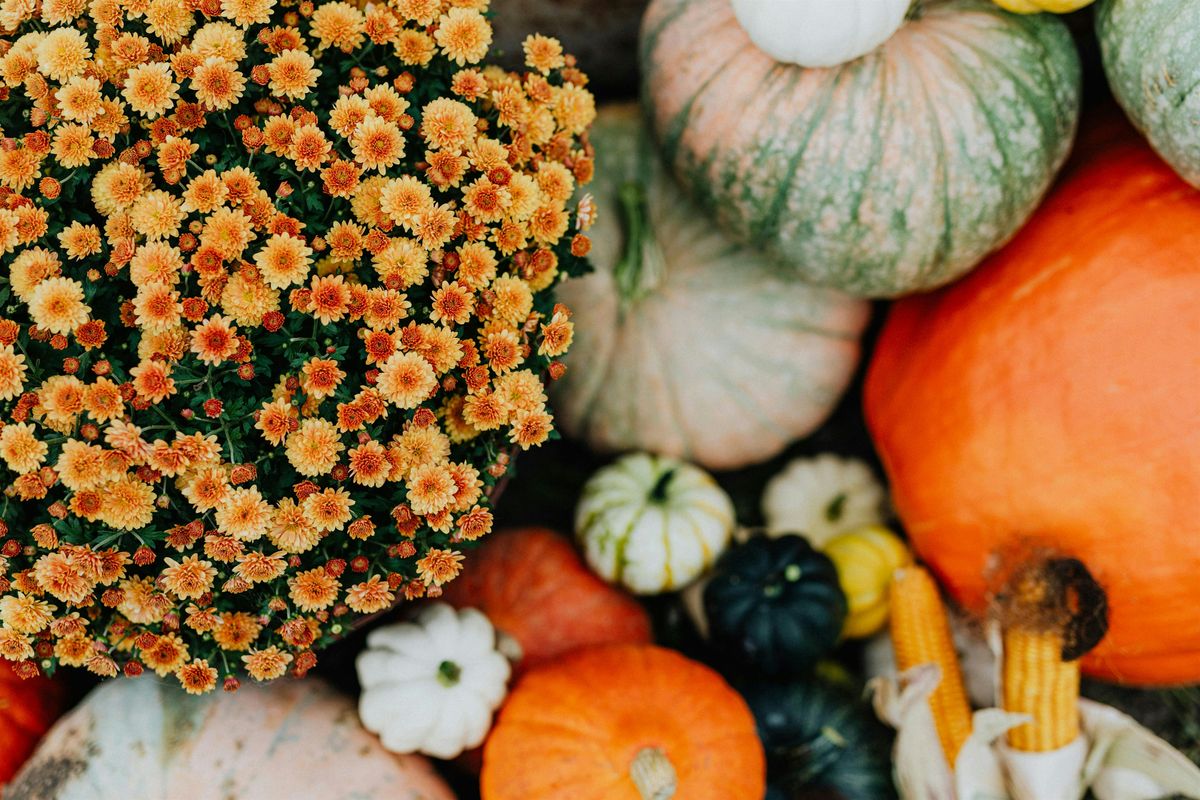 Decorate for Fall: Showcase House Tour | Event in Romulus | AllEvents