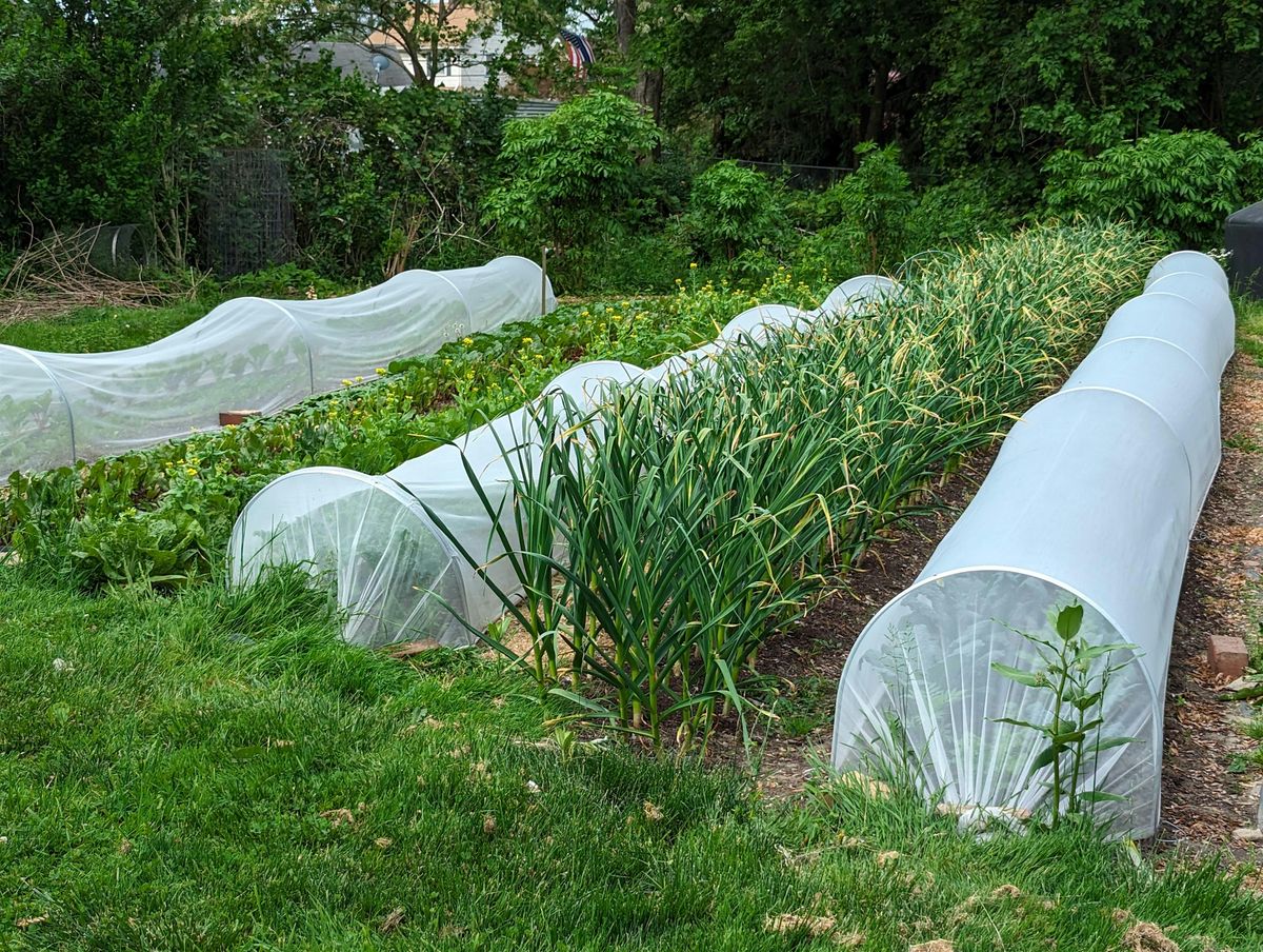 Farm Tour: Grow More, Harvest Longer! Utilizing Low Tunnels on the Farm, 10 September | Event in Cleveland