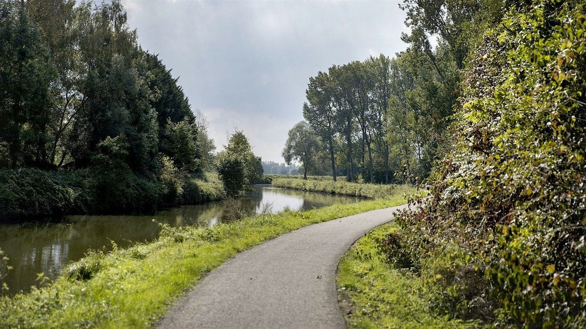 Flemish ardennes with a river, natural reserve, a famous wall (24km), 3 August | Event in Brussels | AllEvents