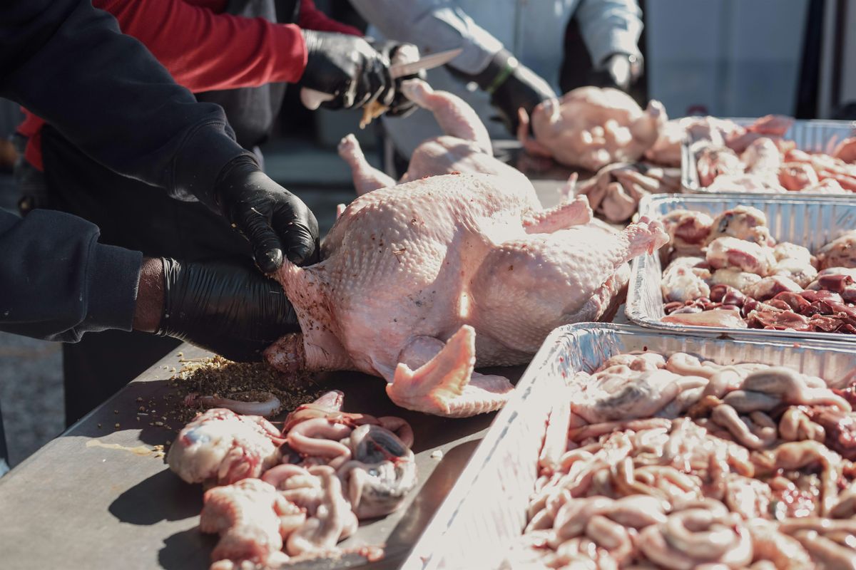 Harvesting Meat Chickens-Homestead Experience, 14 September | Event in Smyrna | AllEvents