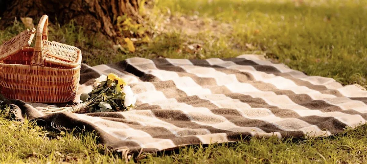 Picnic Sunday's | Event in Lexington | AllEvents