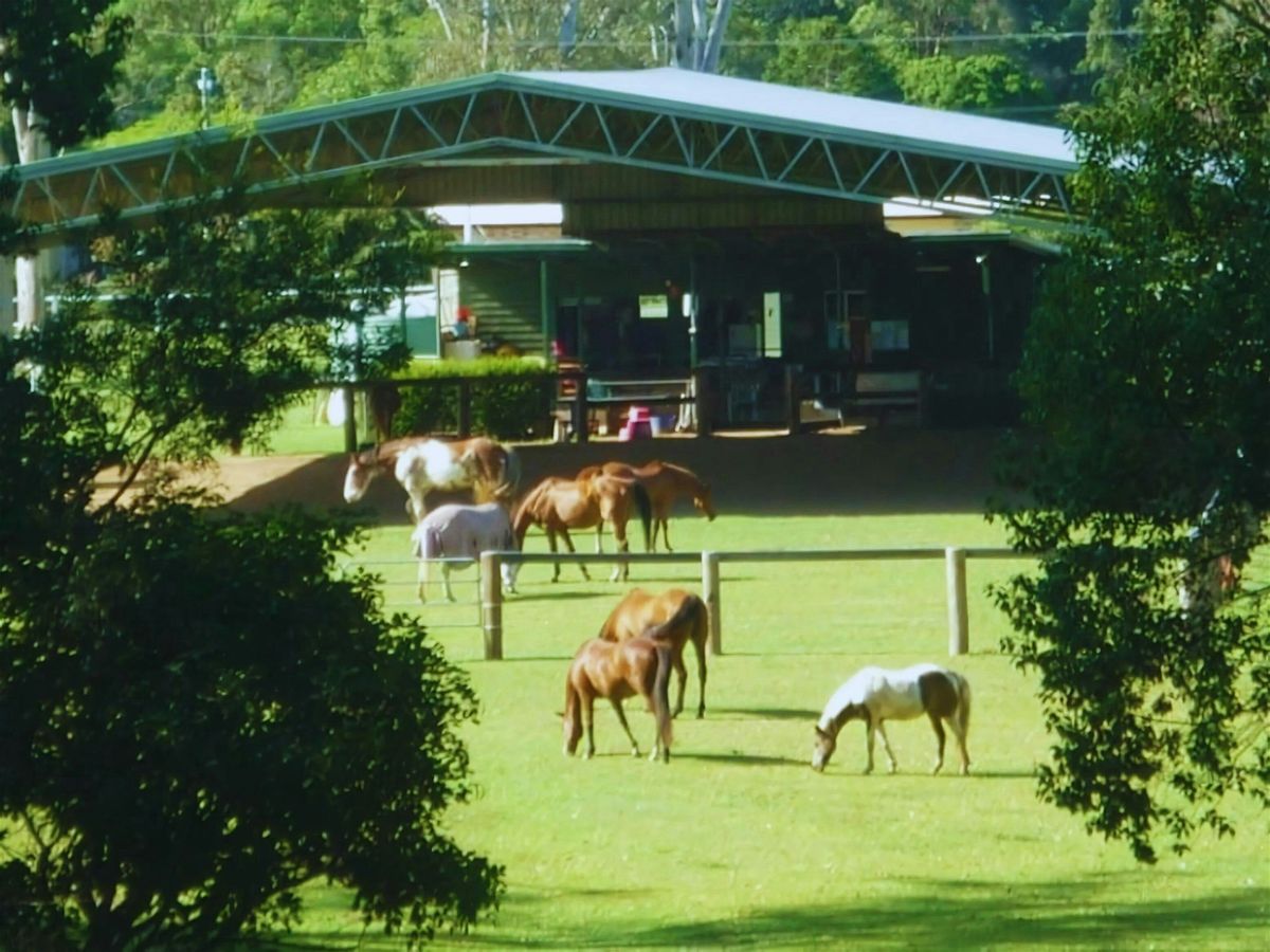 FastTrack to Freedom, 16 November | Event in Palmwoods | AllEvents