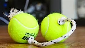 Pop-up crafts: Pet toys, 30 October | Event in Durham | AllEvents
