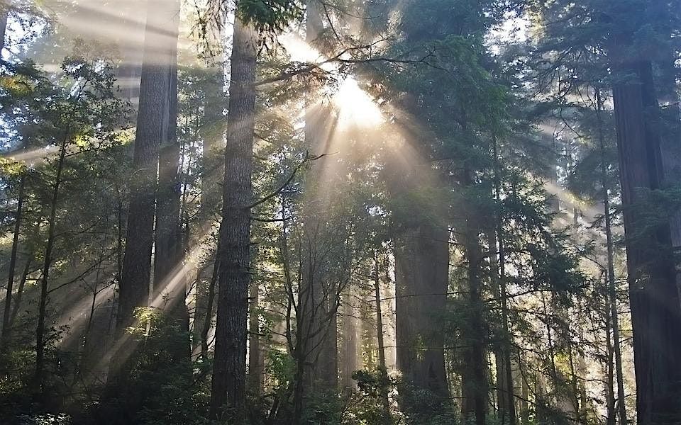 A Counselor's Retreat 2025 with Brenda Jank, 12 September | Event in Albion | AllEvents