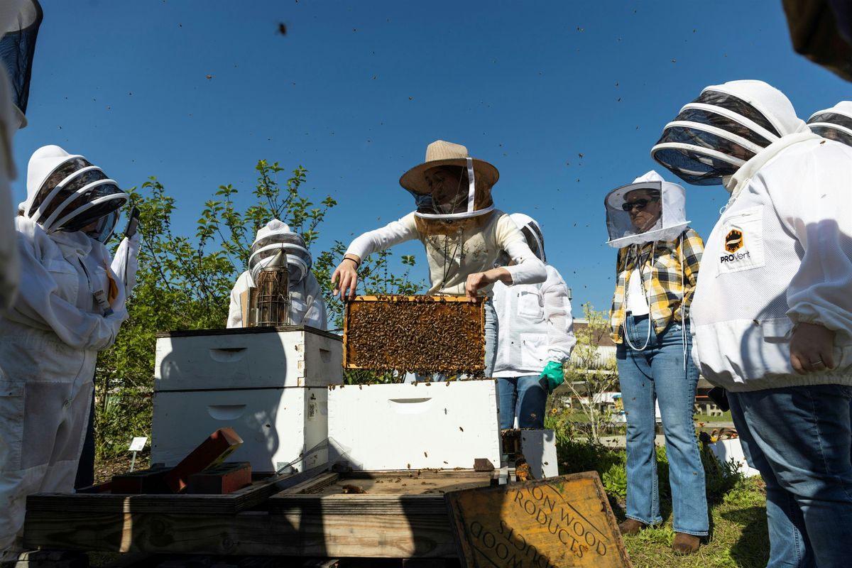 Honey Bee Veterinary Medicine Essentials, 28 May | Event in Gainesville | AllEvents
