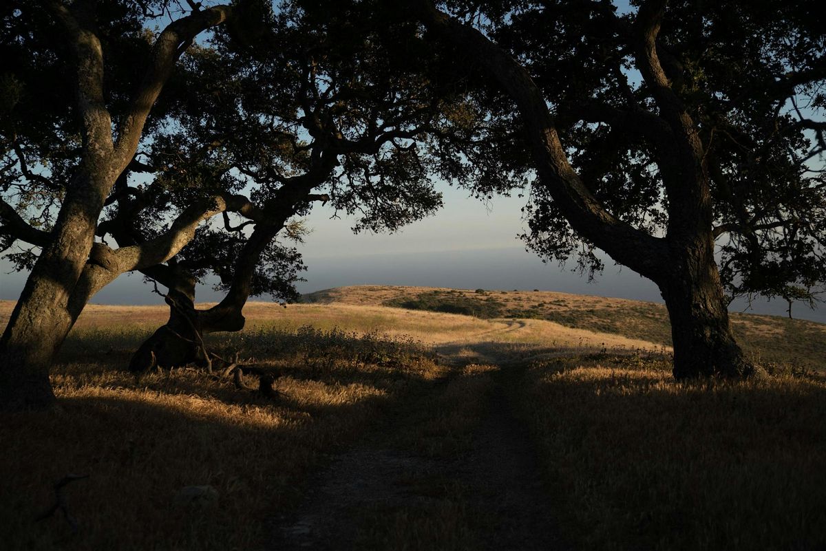 Oak Woodland Morning Hike at Dangermond Preserve!, 23 August | Event in Lompoc | AllEvents
