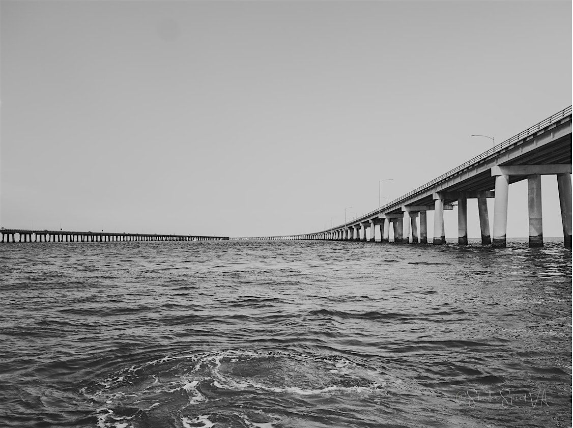Tribute to the Bay —A Photography Exhibit by ShutterSpeed, 23 January | Event in Virginia Beach | AllEvents