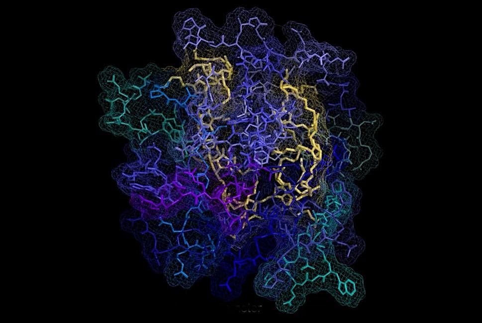 2025 IIN Rosemary Schnell Symposium: Nanoscience Unleashed, 15 October | Event in Evanston | AllEvents