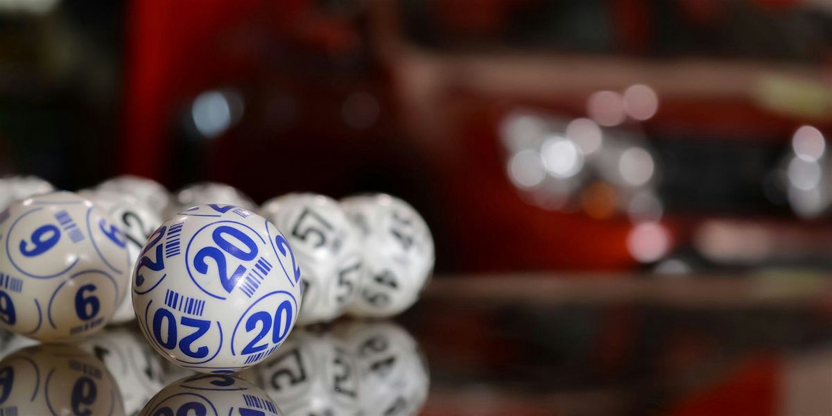Copy of Bingo | Event in Forsyth | AllEvents