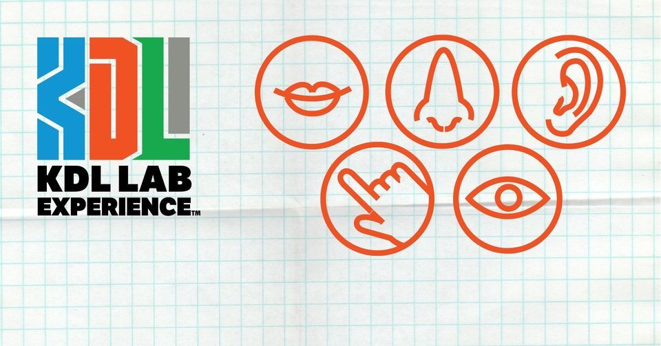 KDL Lab Making Sense (of Your Senses), Kent District Library Plainfield Township Branch