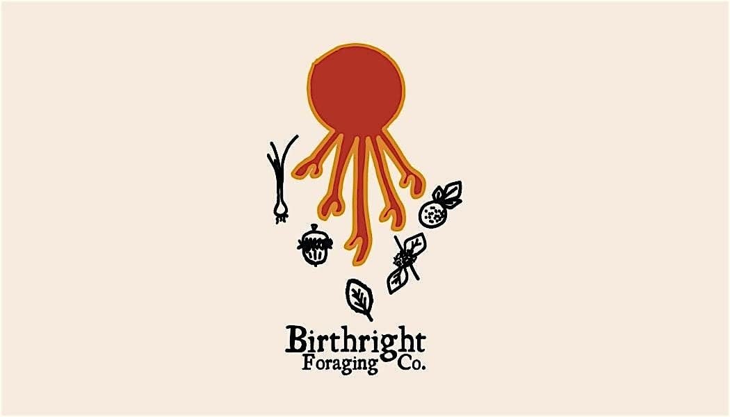 Guided Spring Foraging Walk - Birthright Foraging Co., 25 May | Event in New Braunfels | AllEvents