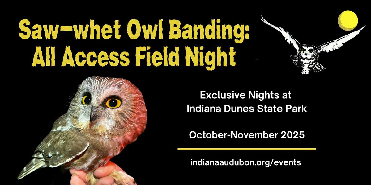 Saw-whet Owl Banding: All Access Field Night, 23 October | Event in Chesterton | AllEvents