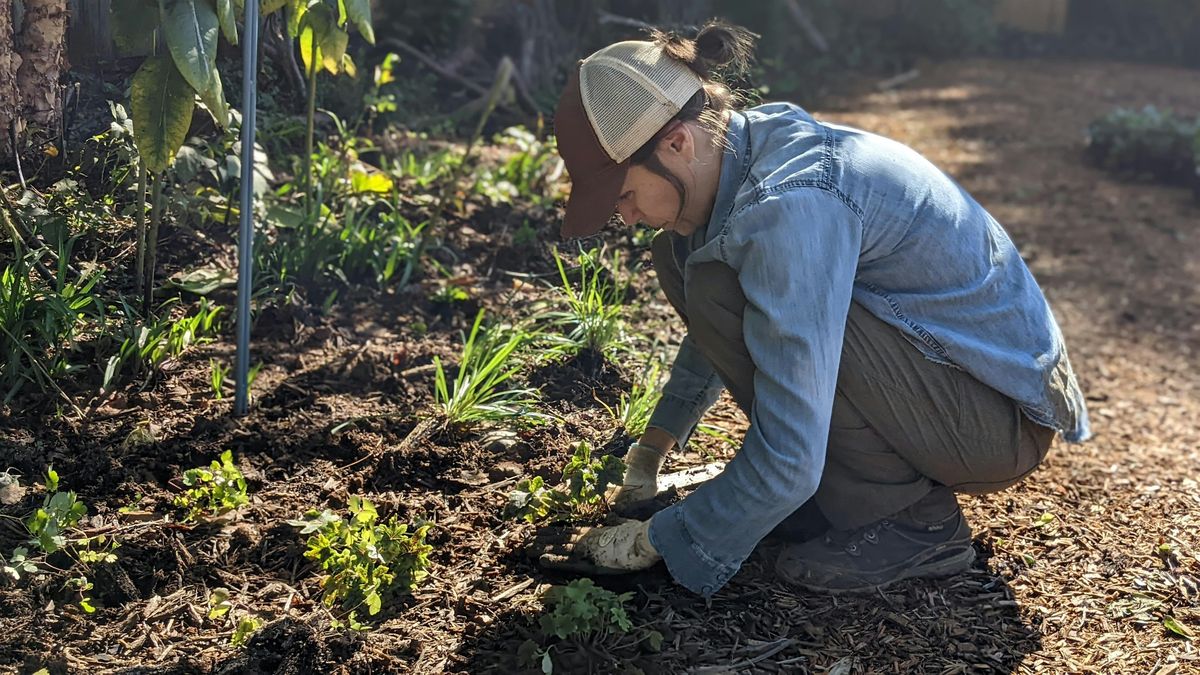 Habitat Advocate: Native Garden Design/Build/Steward Workshop, 6 December | Event in Lancaster | AllEvents
