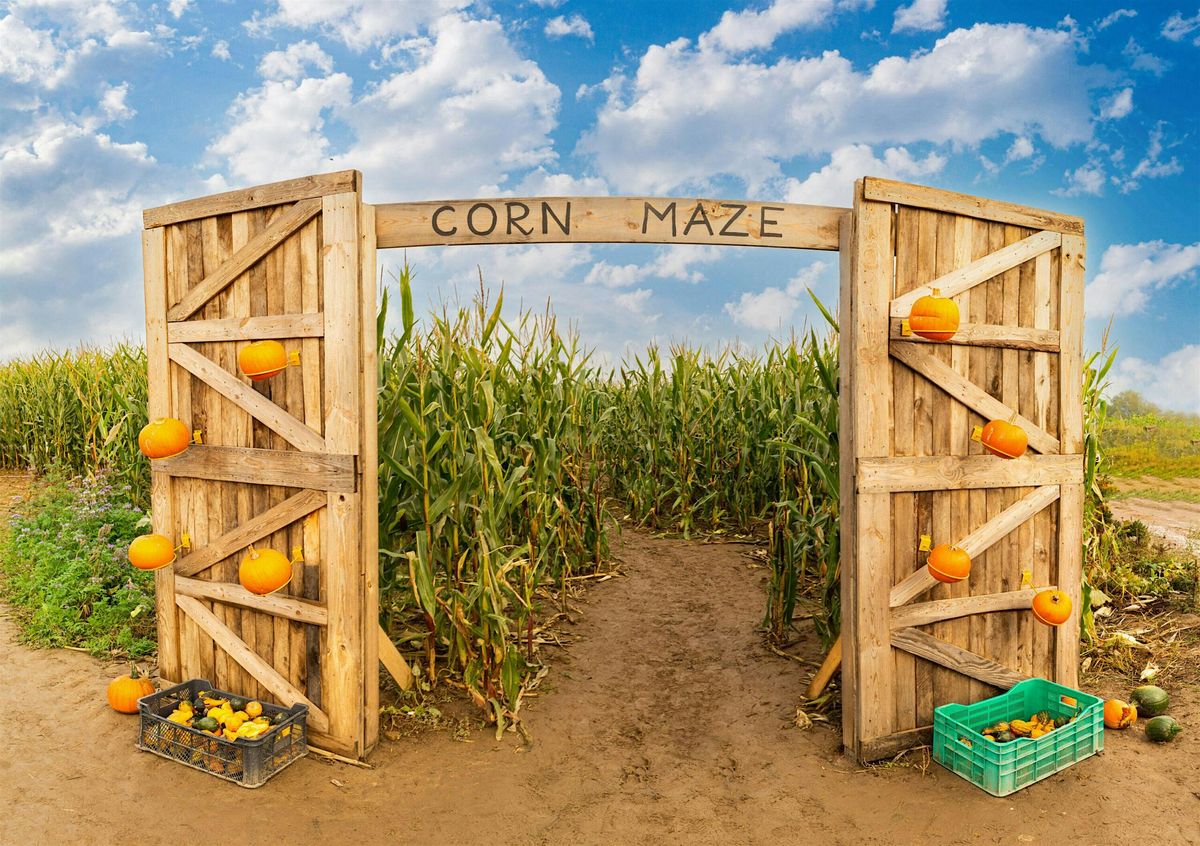 Network in Motion - Corn Maze Edition, 25 October | Event in Springfield | AllEvents