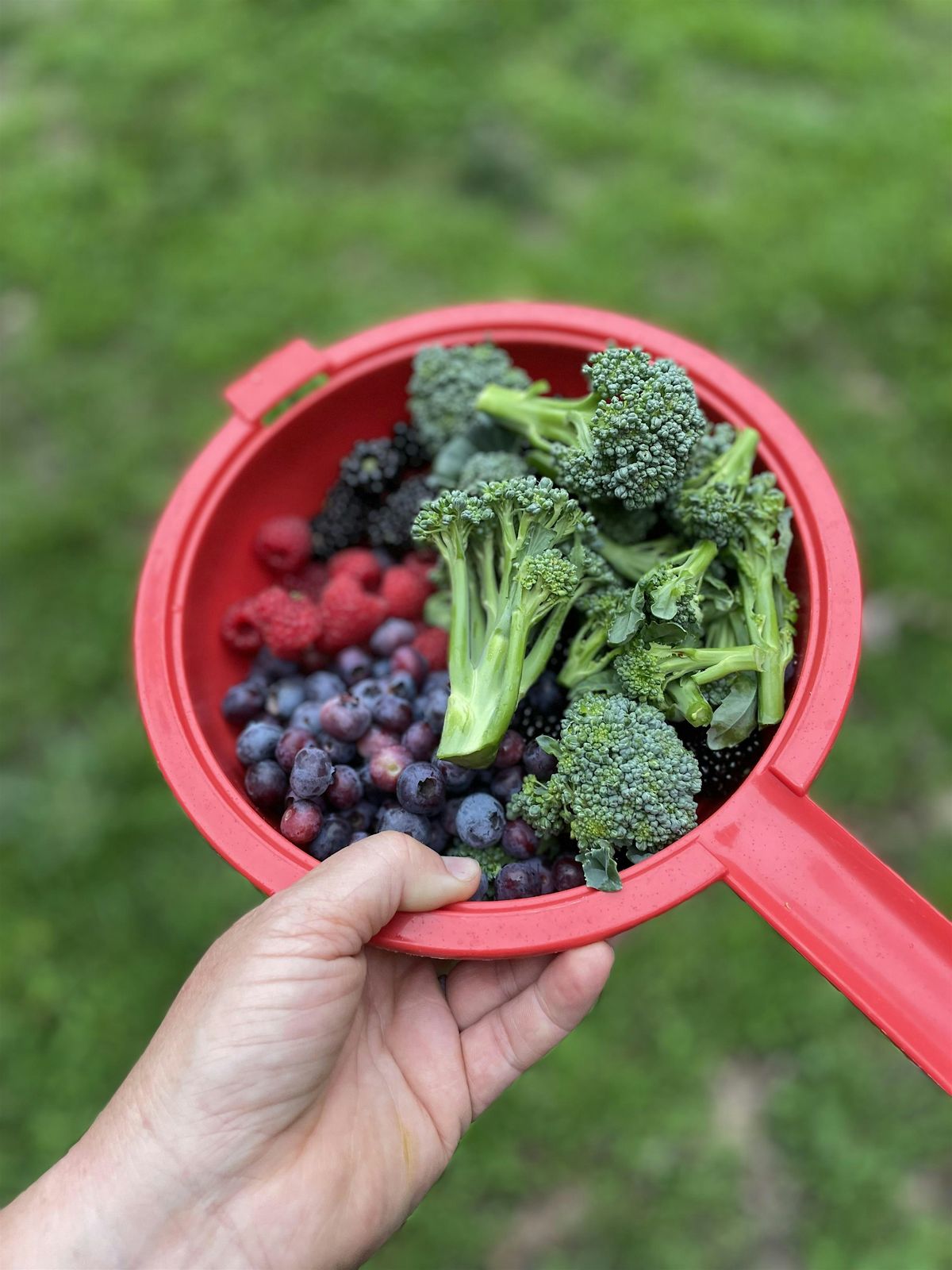Soil Health: The Key to Ultimate Lazy Gardening | Event in Milford | AllEvents
