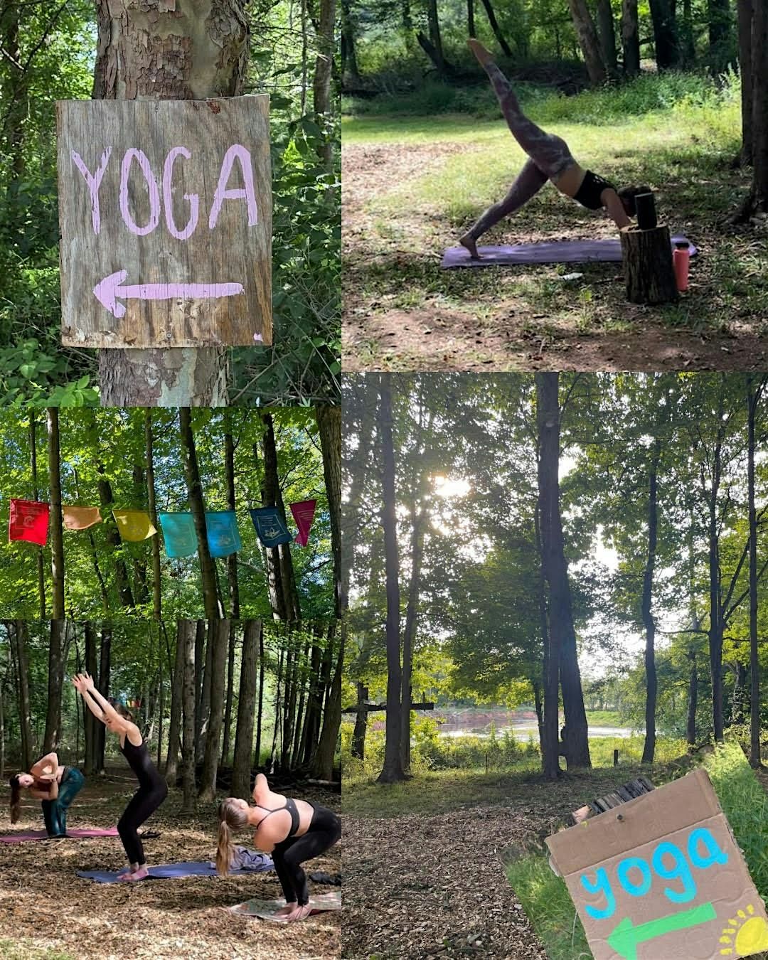 River View Yoga - On The Farm, 24 August | Event in Bridgewater | AllEvents