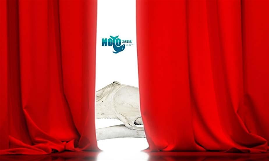 First Glimpse of a Rare Whale Skull and BBQ with a Special Guest, 9 July | Event in Fort Bragg | AllEvents