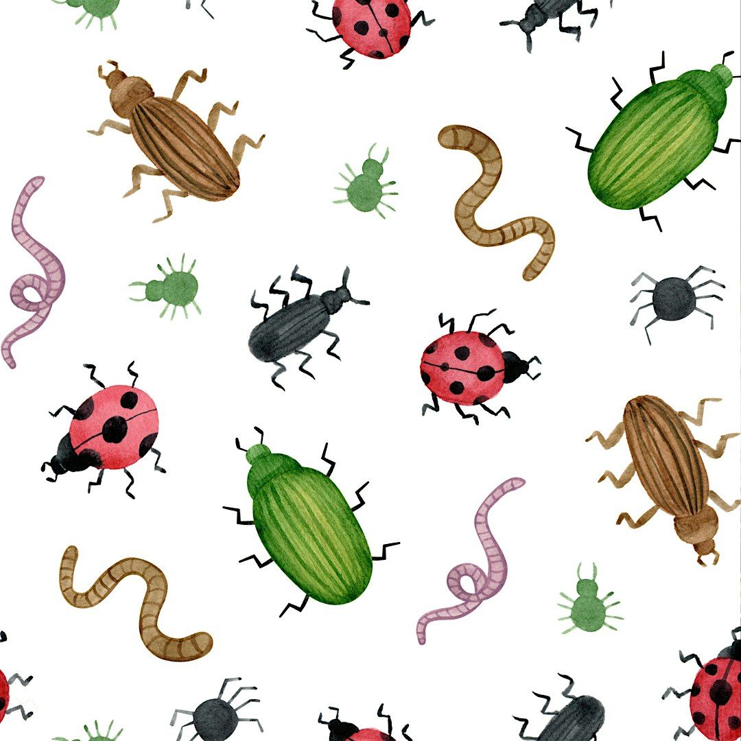 Build-a-Bug-Tiny Tots (3-5 years), $4 cash per child, 7 August | Event in Kings Park | AllEvents
