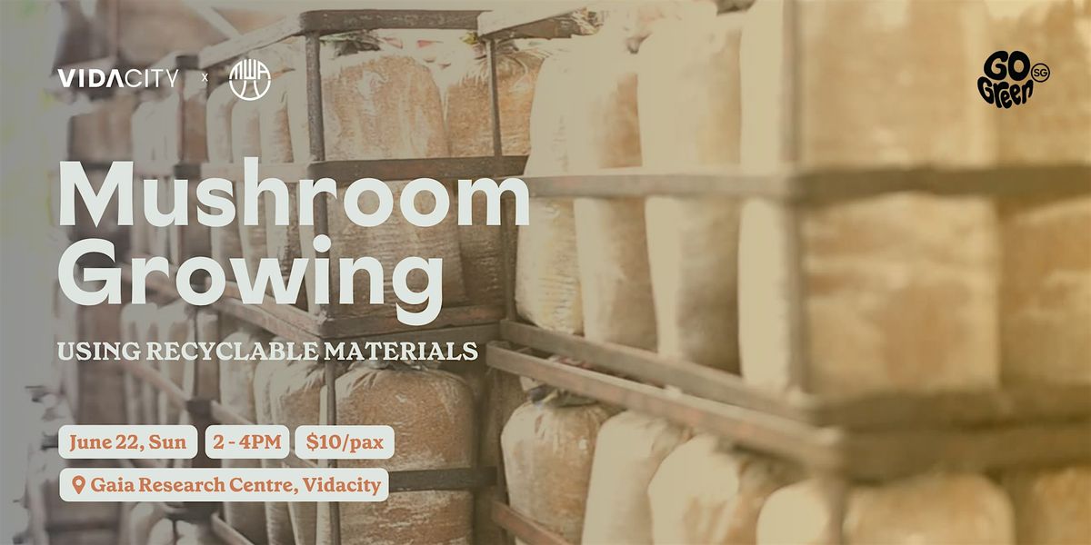 Mushroom Growing with Recyclable Materials (22 June), 22 June | Event in Tampines | AllEvents