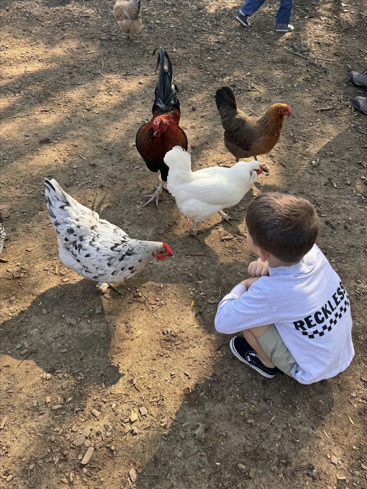 Inclusive Neurodiverse Farmer Program June, 14 June | Event in Westport | AllEvents