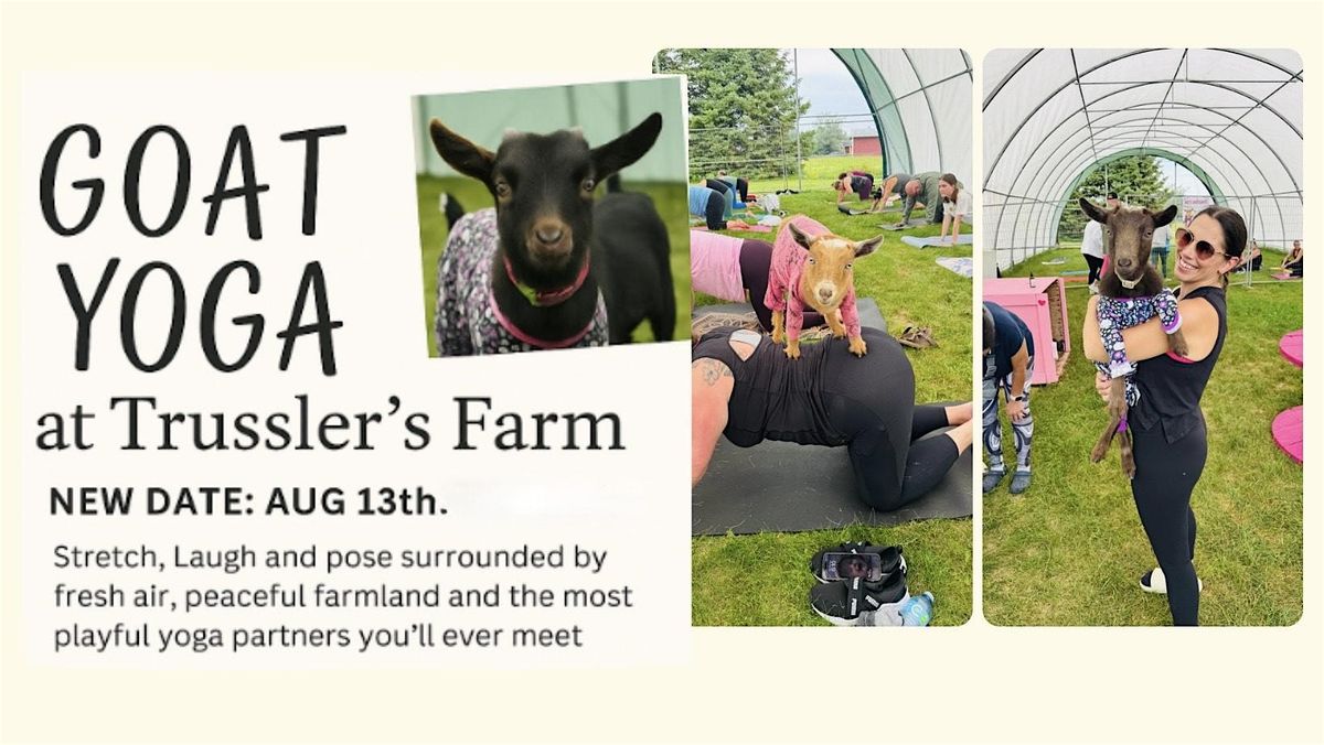 GOAT YOGA at Trussler’s Farm ‍, 13 August | Event in Timmins | AllEvents