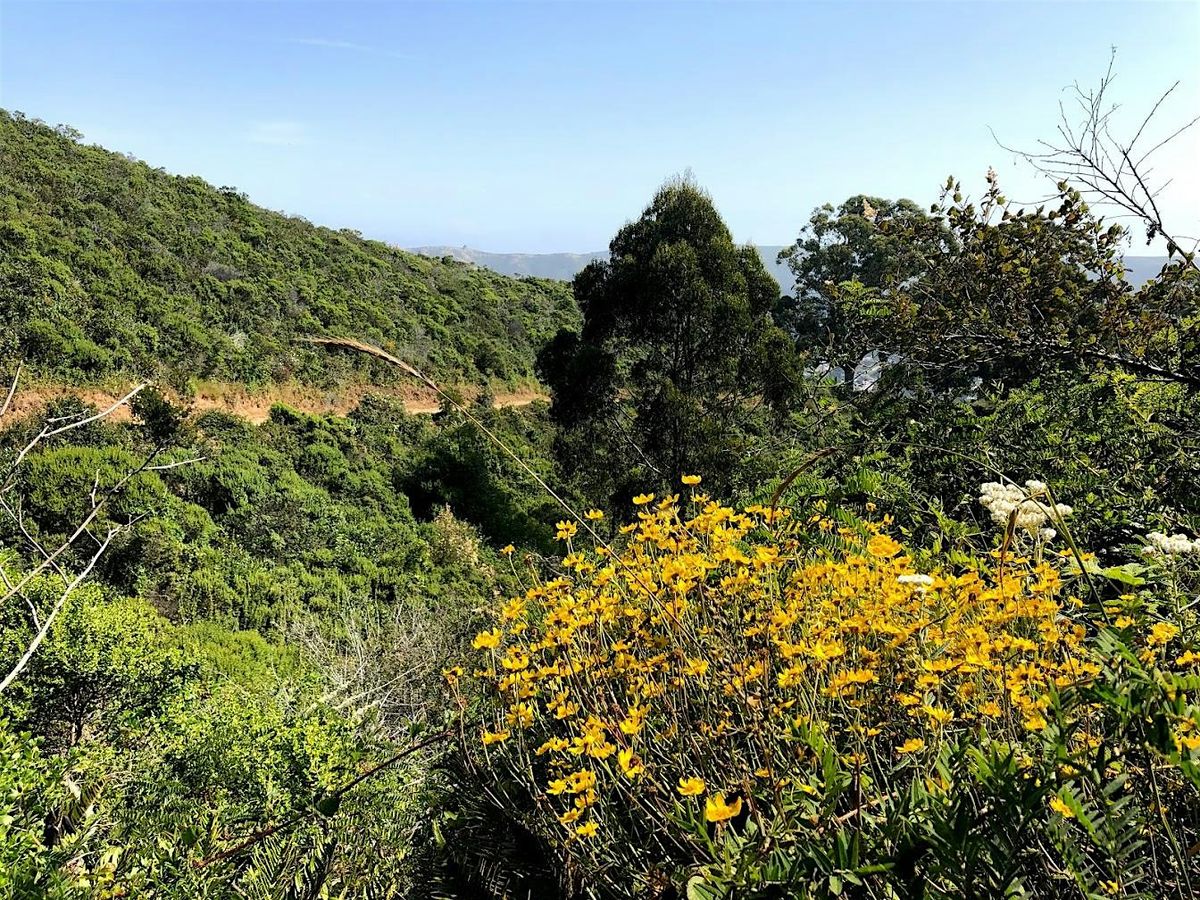 Take A Hike Challenge 2025 - San Pedro Valley Park, 2 August | Event in Pacifica | AllEvents