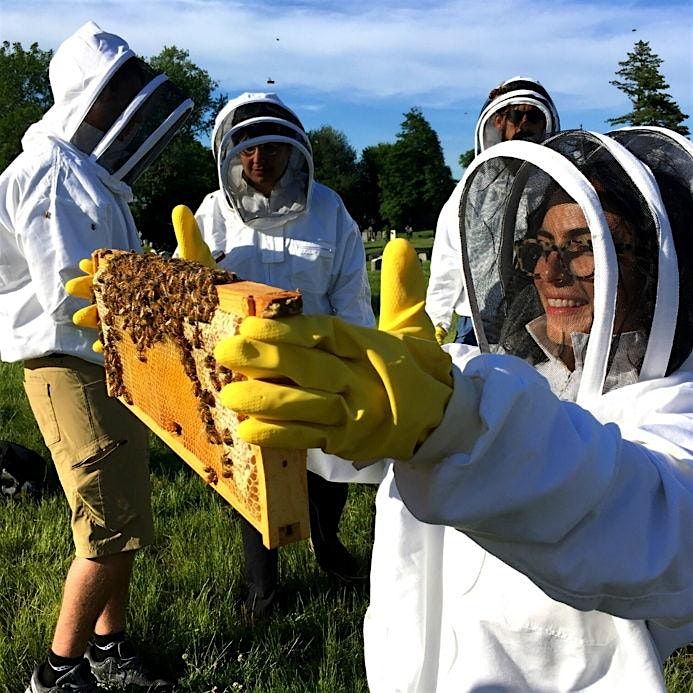 Meet the Bees Hive Tour - Brooklyn, 30 August | Event in Brooklyn | AllEvents