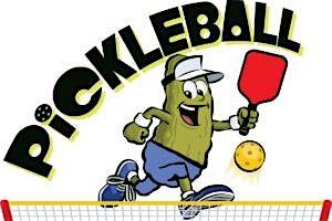 National Pickleball Day!, 8 August | Event in Middleborough | AllEvents