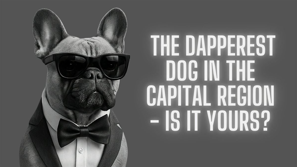 Dapper Dog: Pet Fashion & Talent Event, 23 August | Event in Albany | AllEvents