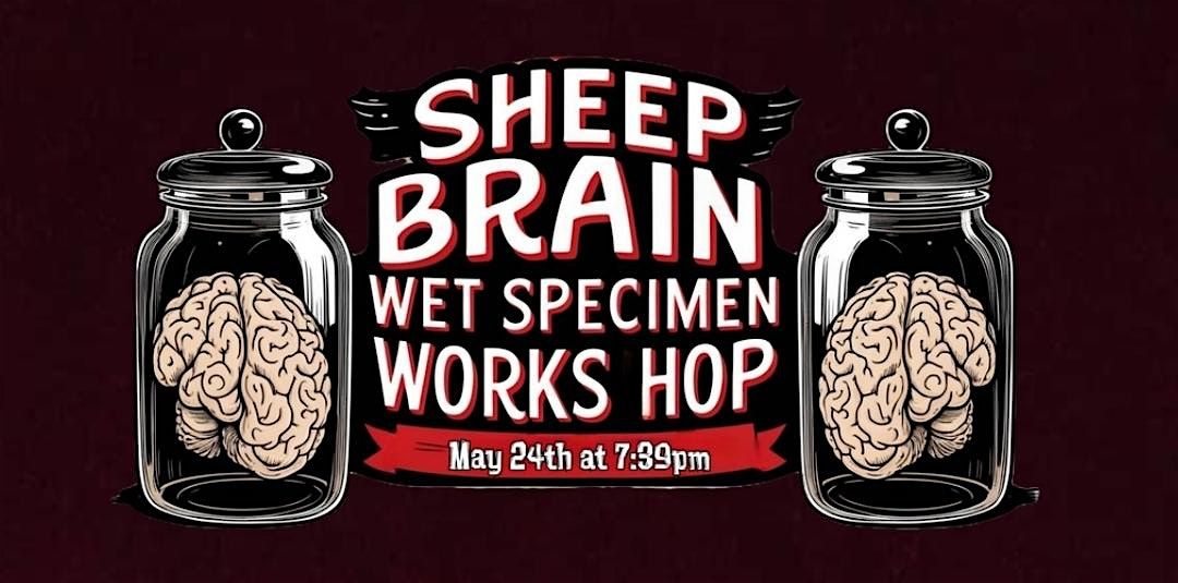 Sheep Brain Wet Specimen Workshop | Event in Richland Hills | AllEvents