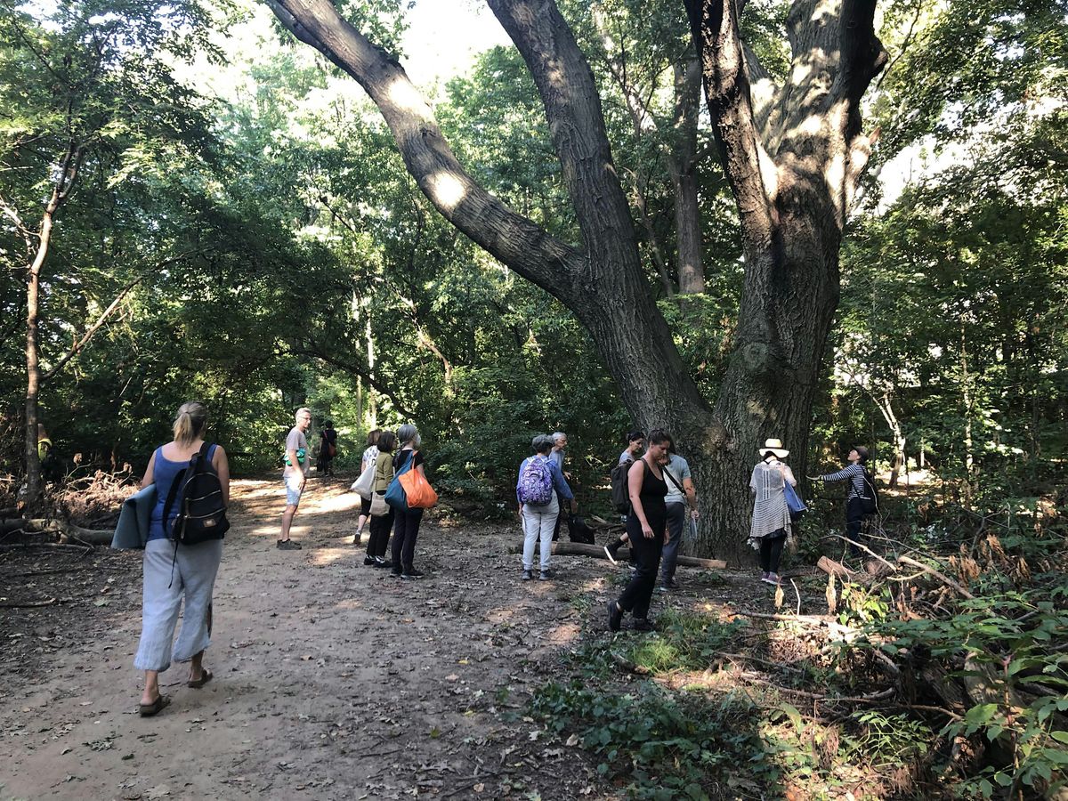 Summer on the Hudson: Forest Bathing, 16 May | Event in New York | AllEvents