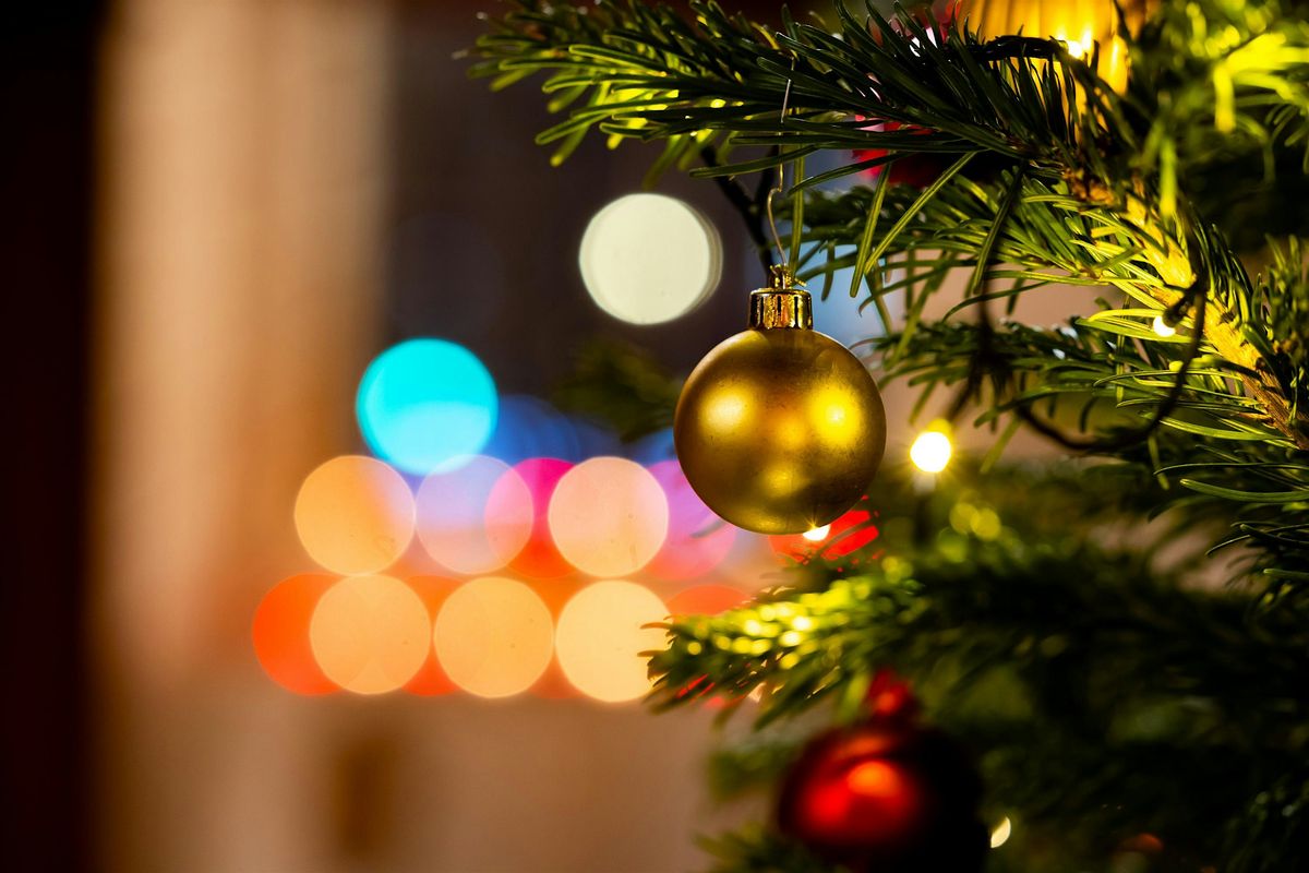 Carols for All — The Animals, 19 December | Event in London | AllEvents