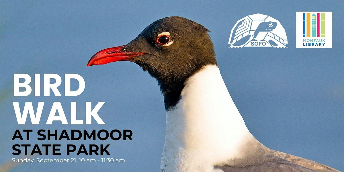 Bird Walk at Shadmoor State Park, 21 September | Event in Montauk | AllEvents
